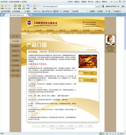 網(wǎng)站設(shè)計的關(guān)鍵要素 從網(wǎng)頁到整體用戶體驗